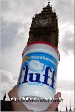 Pot de Fluff en visite  Londres, devant Bigben